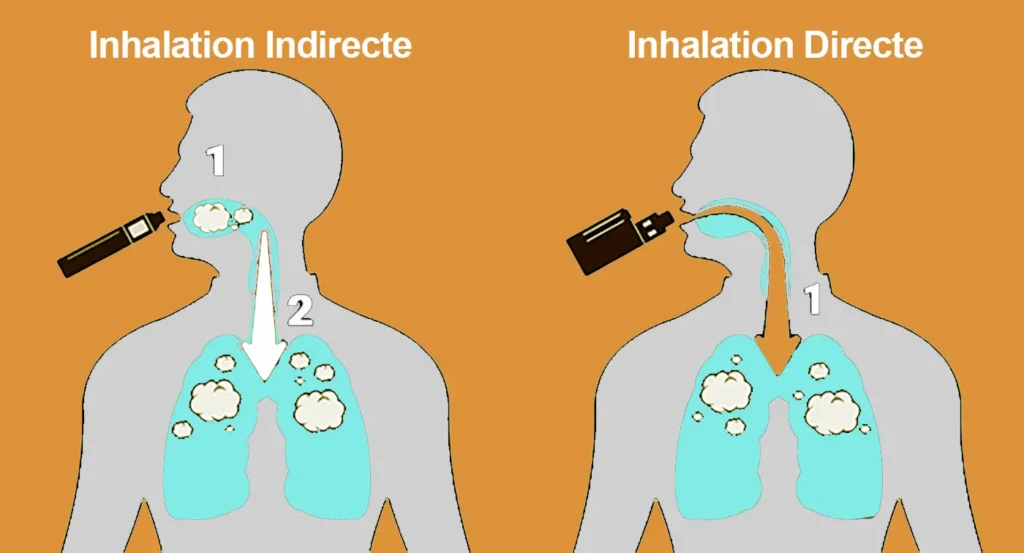 Schéma comparatif illustrant les différences entre l'inhalation indirecte et l'inhalation directe lors du vapotage. L'inhalation indirecte passe par la bouche avant d'atteindre les poumons, tandis que l'inhalation directe va directement dans les poumons.